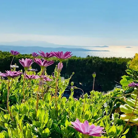 Vue Mer Panoramique Et Piscine Bandol Exterior photo