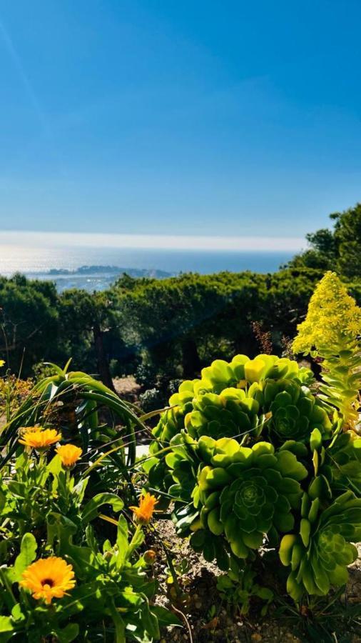 Vue Panoramique Et Piscine * Bandol